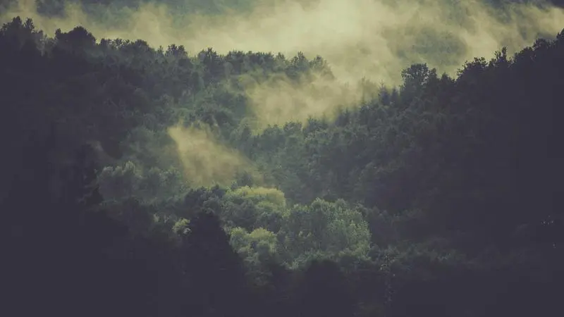 Mesa con una tapa de boquerones y una caña de cerveza en una terraza
