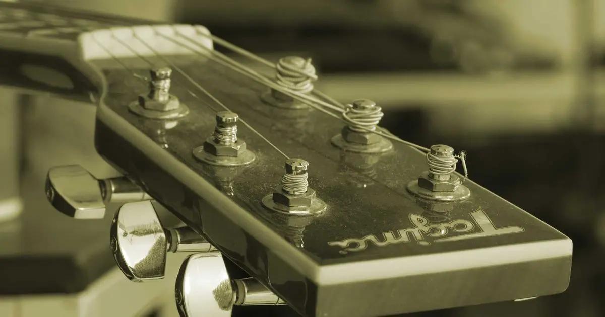 Sendero entre pinos con cuatro personas caminando