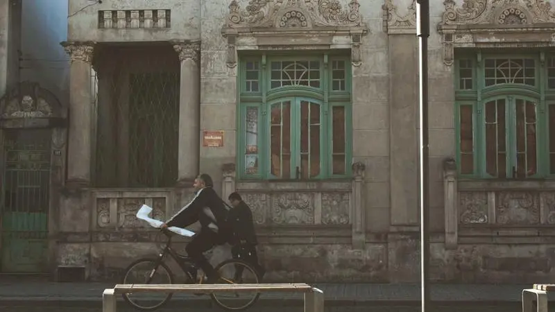 Sendero entre pinos con montañas al fondo
