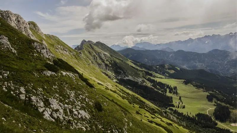 Ambrosías actualizadas: el estado del supermercado español en 2026