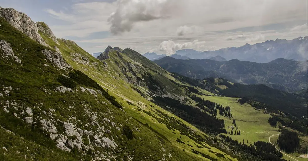 Backups con restic: sencillo, cifrado y automatizado