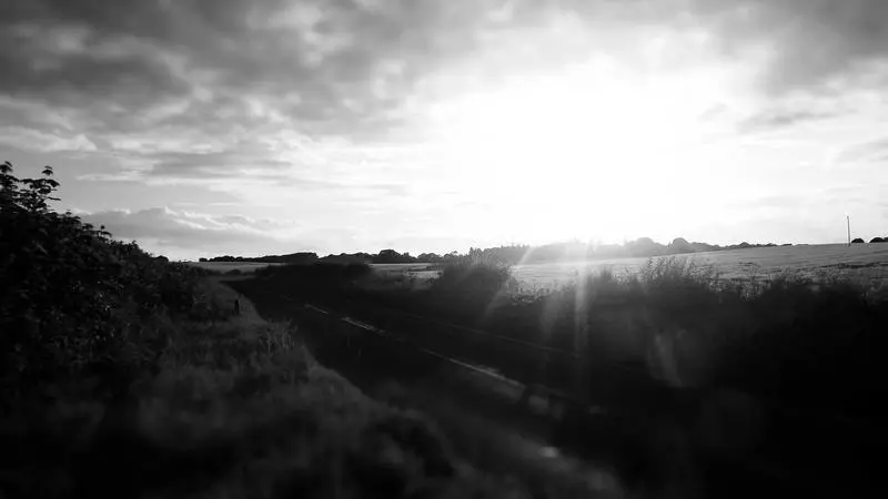 Cómo migré de WordPress a un blog en Go