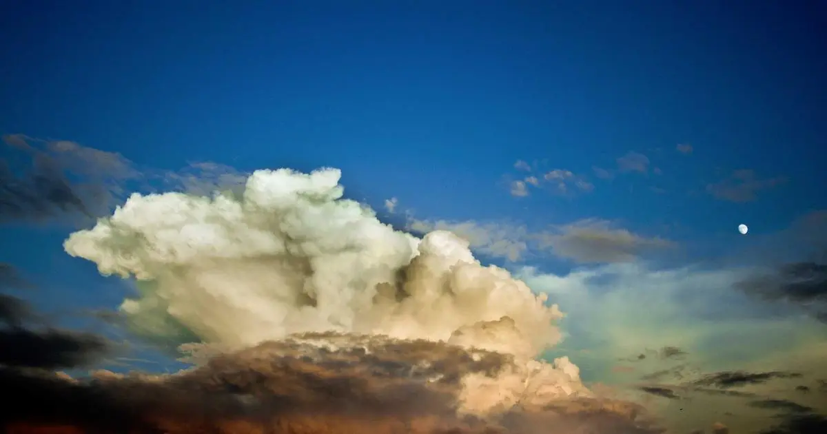 Mesa con copas de vino vacías después de una comida larga