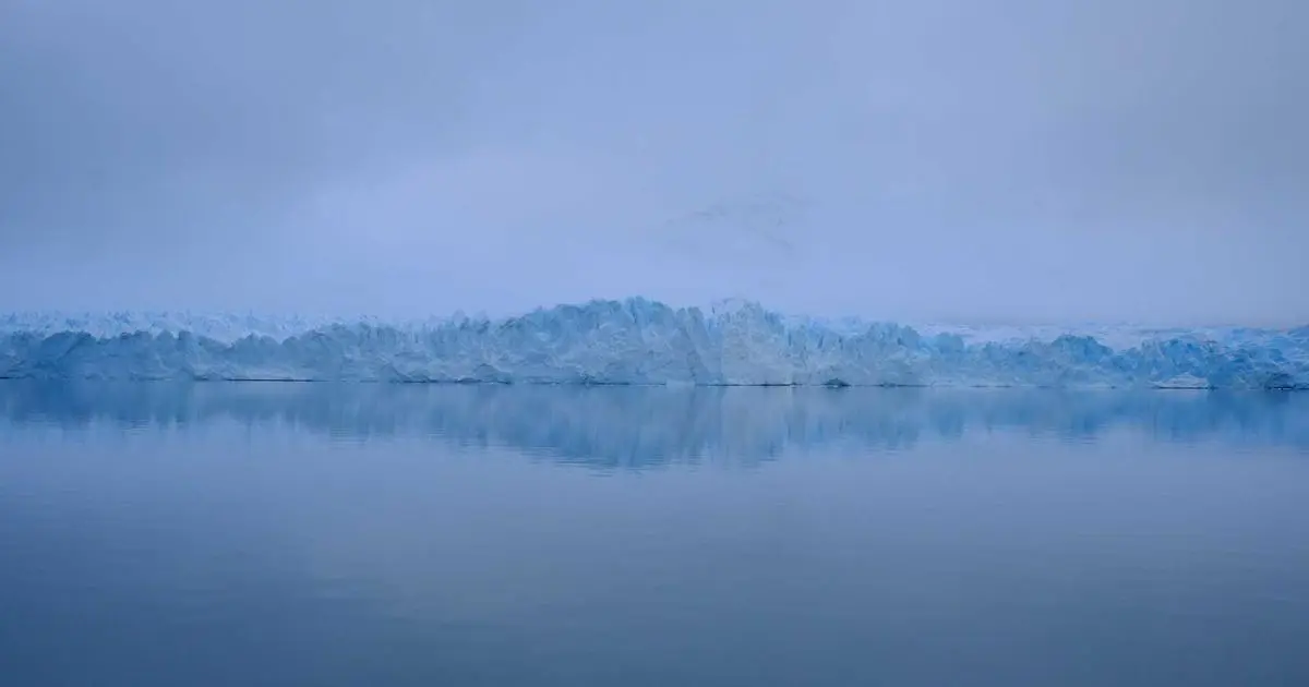 Tostada de pan rústico con aceite de oliva