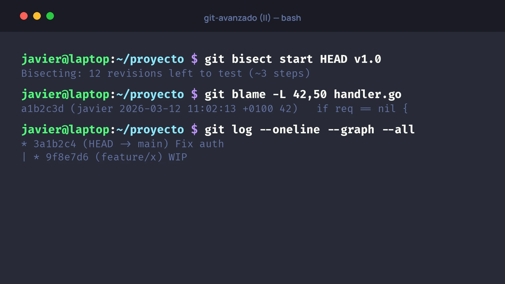 Terminal con los comandos git bisect, git blame y git log --graph