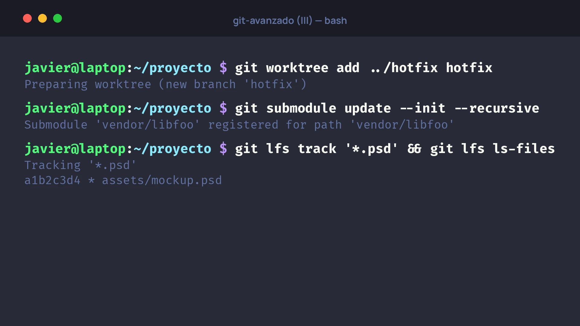 Terminal con los comandos git worktree, git submodule y git lfs