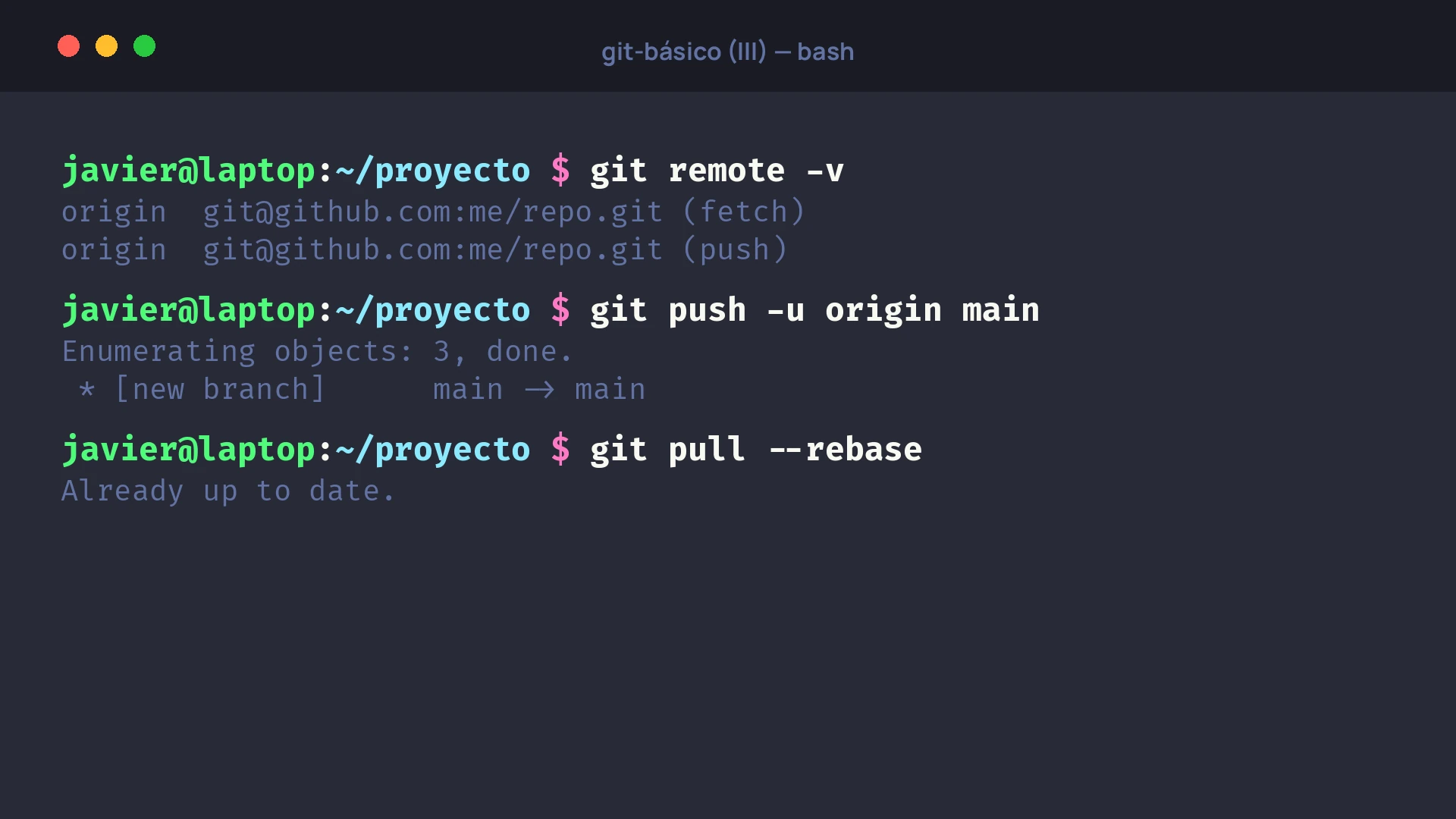 Terminal con los comandos git remote, git push y git pull