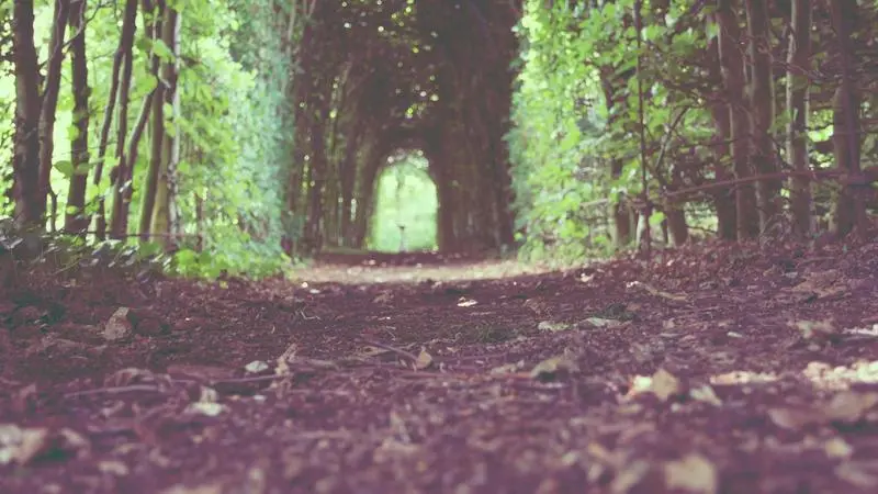 Guía completa de CLAUDE.md: cómo dar contexto a Claude Code sobre tu