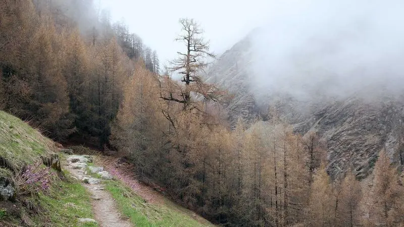 Guía completa de CLAUDE.md: cómo dar contexto a Claude Code sobre tu