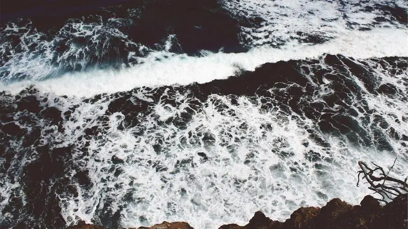 Kamailio en 2026: por qué sigue siendo relevante