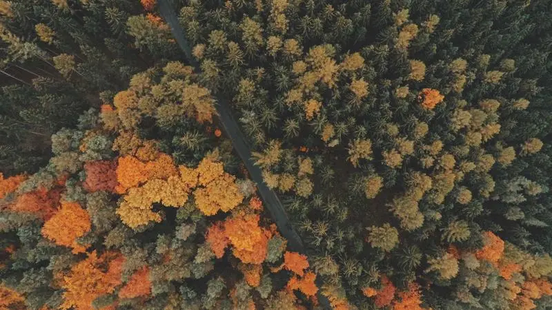 Lecciones de Breaking Bad aplicadas a la vida real