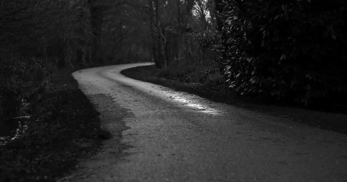 Leer en papel en 2026: por qué sigo comprando libros