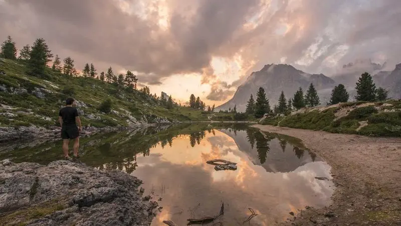 Puesto de frutas y verduras con productos variados