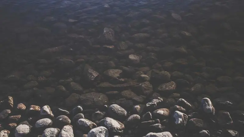 Optimización de Nginx para WordPress: FastCGI Cache y Rate Limiting