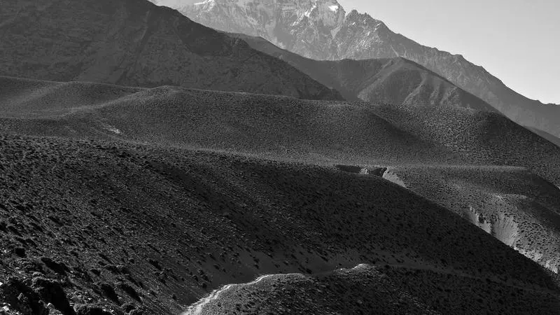 Plato de pescaíto frito con medio limón