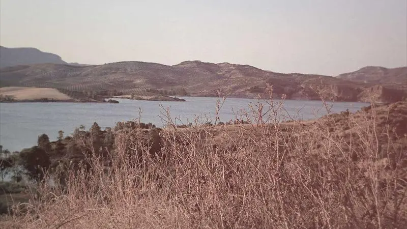 PostgreSQL: 10 consultas que todo desarrollador debería conocer