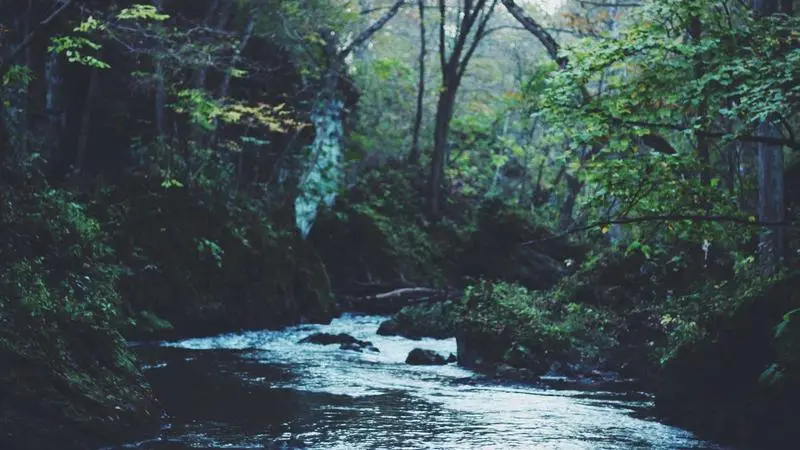 Rails desde cero (III): ActiveRecord avanzado