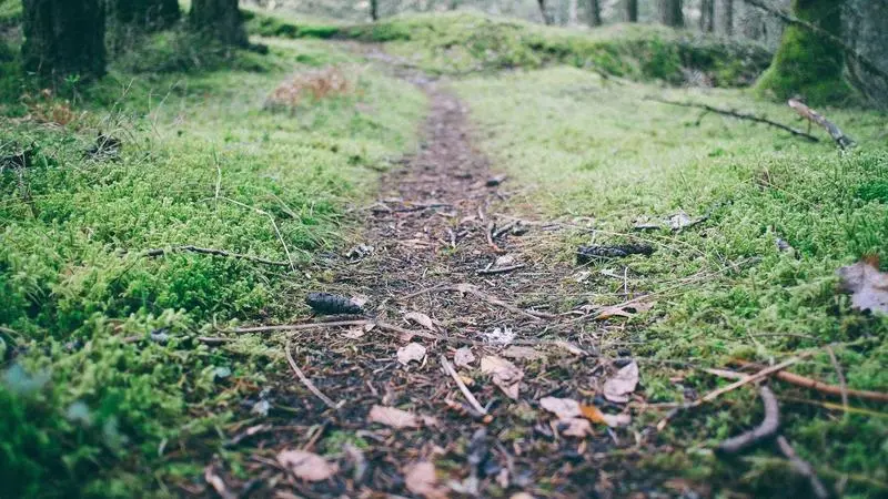 Rsync: el comando que uso todos los días