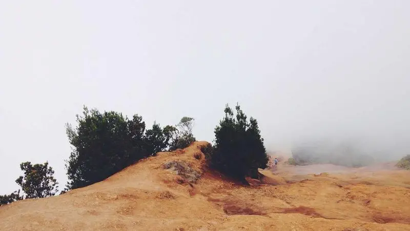 Tapeo por el casco histórico de Mijas pueblo
