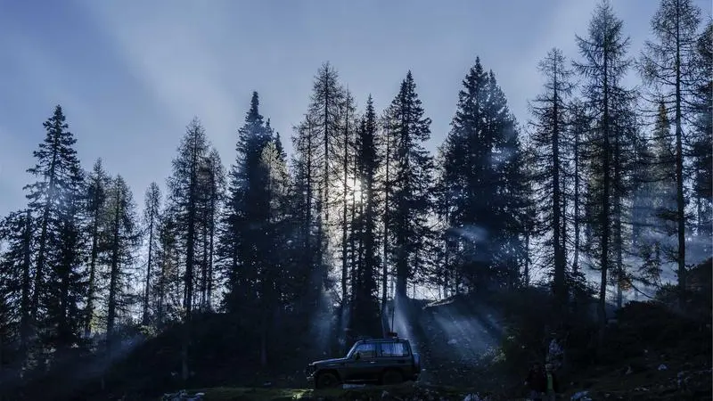 Cocinero emplatando en la barra de un restaurante
