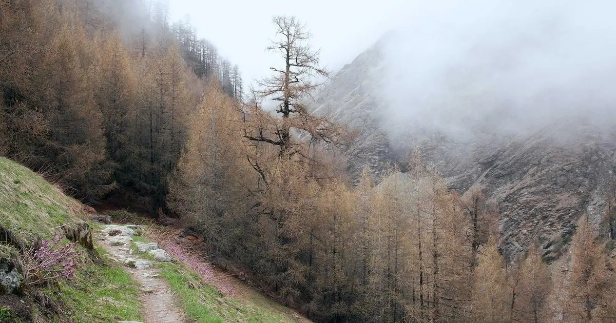 Traducción y resumen de la guía Shape Up de Basecamp (Stop Running in Circles 