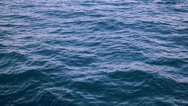 Grupo de amigos bebiendo antes de un concierto