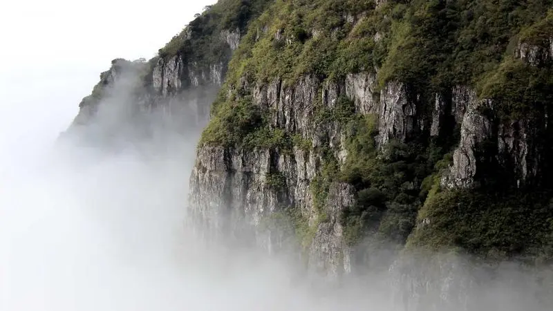 Público cantando con las manos levantadas