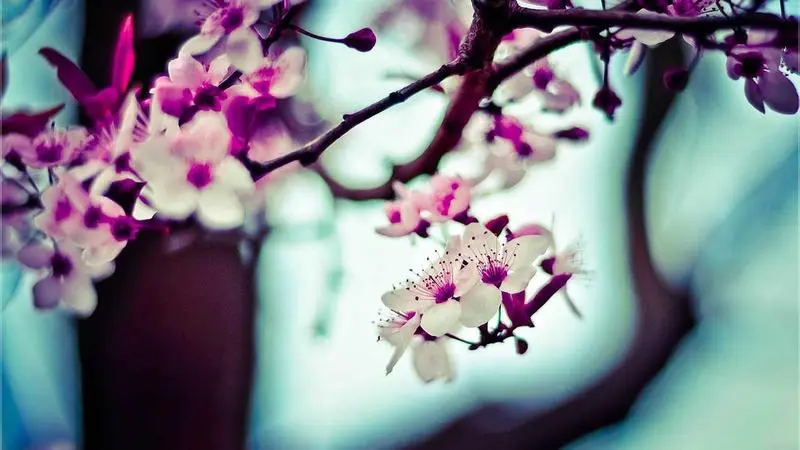 Escritorio con portátil abierto y café