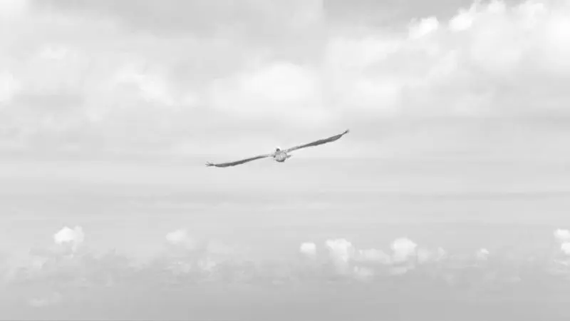 Gráfica de visitas del blog