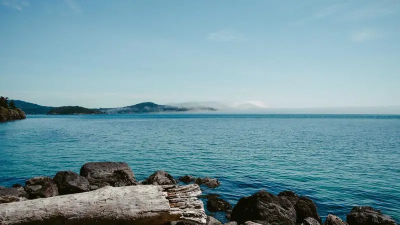 Una cena con amigos vale más que diez meetings