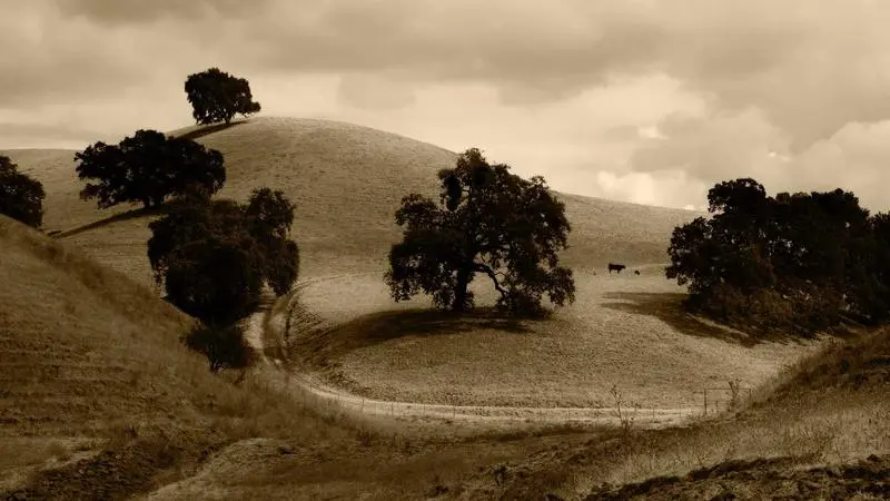 Vivir en la Costa del Sol sin ser turista