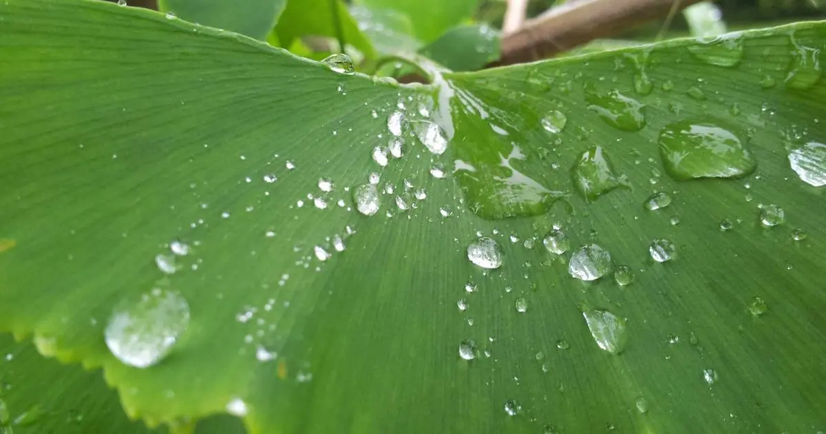 Vivir en la Costa del Sol sin ser turista
